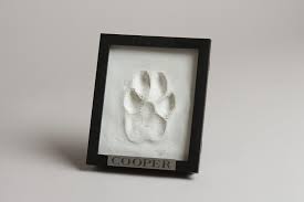 Pet memorial services clay paw print. Clay Paw Print Keepsake Dog Cat Paw Print Impression Display