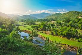 Inside this terrific banana shaped chain of islands are some of the most breathtaking coastal scenes. River Flowing Through The Dense Tropical Landscape Of The Indonesian Stock Photo Picture And Royalty Free Image Image 95201646
