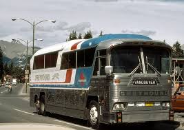 Pin On Greyhound