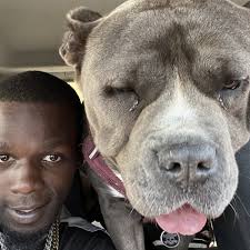 Petco River Oaks W, Calumet City, IL 60409