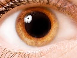 Image result for Mydriasis