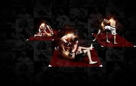 wallpaper fighters mma chions ufc