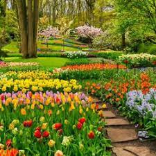 Maybe you would like to learn more about one of these? Jual Walpaper Taman Bunga Terbaik Harga Murah August 2021 Cicil 0