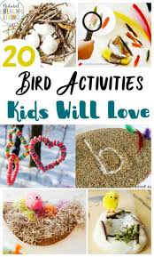 Bird Activities For Preschoolers 25 Bird Activities For Preschoolers Natural Beach Living Preschool Activities Lesson Plans For Toddlers Preschool Science Activities