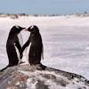 Love lasting love cute love animals cute relationship life i love you poems poetry being in love deep love all i want is you true love romantic love. 1