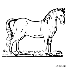 23 588 vues 1 457 impressions. Coloriage Chevaux Arabe Jecolorie Com