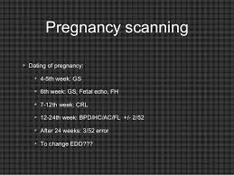 1st Trimester Scan