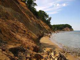 Hiking running kid friendly walking dogs on leash Calvert Cliffs State Park