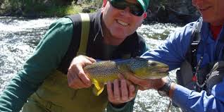 Salmon fishing hotspots like alaska and british columbia are pilgrimage sites for sportfishing enthusiasts. Dude Ranch Vacations Colorado Dude Guest Ranch Association Why Your Next Fishing Trip Should Be To A Colorado Ranch Colorado Ranch