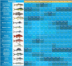 Puerto Vallarta Fishing Calendar Puerto Vallarta Mexico