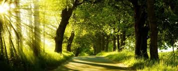We did not find results for: Nature Wallpaper Wallpapers For Free Download About 3 781 Wallpapers