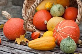 Check spelling or type a new query. 10 Curiosita Sulla Zucca E Perche Doremmo Mangiarla Spesso Freshmag