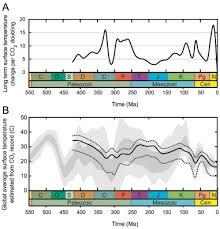 modelling the long term carbon cycle