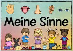 Die fashion show im haus der sinne hielt viele überraschungen für unsere gäste bereit: 70 5 Sinne Ideen In 2020 5 Sinne Schulideen Sachunterricht Grundschule