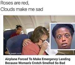 Check spelling or type a new query. Roses Are Red Violets Are Blue My Memes Are Also Danker Than You Album On Imgur