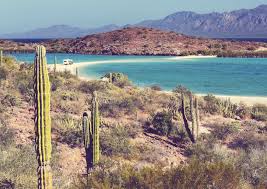 Pescadero baja california sur is located about 8 kilometers south from todos santos which is about 75 kilometers south of la paz the capital of baja california sur. Baja California Sur Best Yacht Charter Sailing Holidays 2021 Sailogy