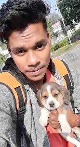 Apex Family in a nutshell #ApexLegends