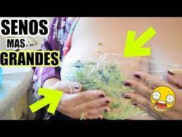 Como Hacer Que Te Crezcan Los Senos En Una Semana Aumentar Pecho