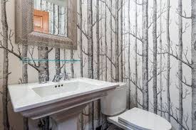 powder room design ideas pictures remodels and decor birke tapete moderne hausentwurfe pulver raumgestaltung