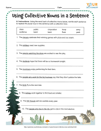 collective nouns worksheets free printables