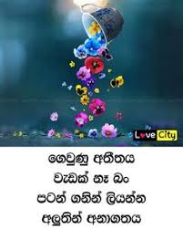 Love city fb post sinhala. 589 Likes 3 Comments Love City Lovecity Live On Instagram Instagram Instagram Posts City