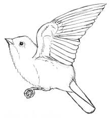 Vogel Malen Und Zeichnen Sie sind einfach einzusetzen und sondern keine gerüche ab. vogel malen und zeichnen