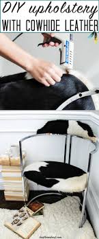 I loved the lines and they were upholstered really well. No Sew Diy Chair Reupholstery With An Ikea Cowhide Rug Cowhide Upholstery Diy Chair Reupholstery