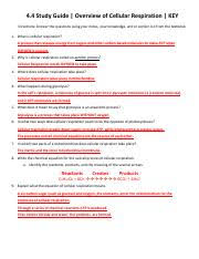 Cellular respiration & cell energy. 4 4 Study Guide Overview Of Cellular Respiration Worksheet Key 4 4studyguide Key Directions Yourknowledge Andorsection4 4fromthetextbook 1 Oxygenis Course Hero