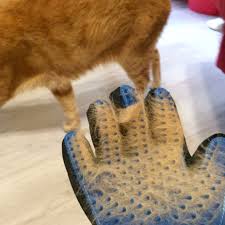 Sihirli Eldiven Kedi Ve Kopek Tuy Toplama Tarama Ve Masaj Eldiveni Mamaci