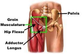 These include the iliopsoas muscle. Fixing Hip Flexor Pain Squat University