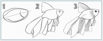 Wie Ein Marchen Goldfisch In Stufen Zu Zeichnen Zeichne Einen Goldfisch