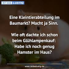Für einen gut gefüllten kissenbezug benötigt man ca. Die Besten 5 Hamster Spruche Auf Istdaslustig De
