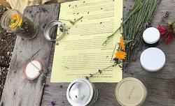 Summer Savvy with Herbs