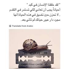 لقد خلقنا الانسان في كبد Beautiful Arabic Words Arabic Quotes Quotations