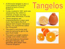 Jul 19, 2019 · ugli fruit, also called tangelo, is a cross between an orange and a grapefruit. The Tangelo Is A Citrus Fruit That Is A Hybrid Of A Mandarin Orange And Either A Pomelo Or A Grapefruit The Tangelo Is So Different Than Other Citrus Ppt Download