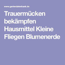 Trauermucken Bekampfen Hausmittel Kleine Fliegen Blumenerde Trauermucken Blumenerde Kleine Fliegen In Blumenerde