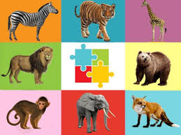 Morris animal foundation has a. Animal Puzzles For Kids Online For Sale Off 64
