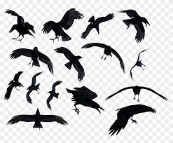 If you like, you can download pictures in icon format or directly in png image format. Flock Of Ravens Png Transparent Png 2962x2320 5438359 Pngfind