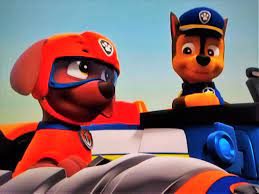 My son loves paw patrol. Chase Zuma Paw Patrol Relation Ship Wiki Fandom