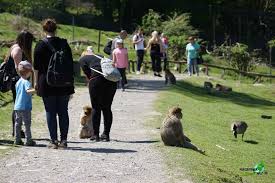 We did not find results for: Affen Und Vogelpark Eckenhagen Highlights Tipps Zum Besuch Im Zoo Tierpark Freizeitpark Welt De