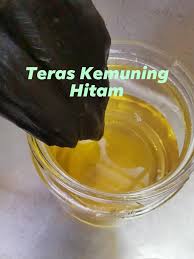 Nak tunggu besar semacam yg kat dlm gambar kat bawah ni, kena sampai ke nursery tu, dapat la saya jumpa beberapa pokok sedap malam atau pokok kemuning ni. Rahsia Hutan Publicaciones Facebook