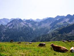 Auf unserer wanderung von oberstdorf bis zur zugspitze sind sie sieben tage unterwegs. Drei Ganz Unterschiedliche Wanderungen Rund Um Oberstdorf Fernweh Und So