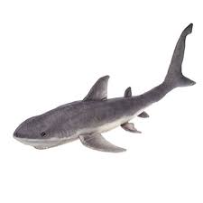 Maybe you would like to learn more about one of these? Fiesta Toys Giant Great White Shark Plush Stuffed Animal Toy 54 Inches Walmart Canada