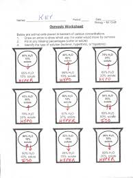 The worksheet (google doc version) that goes with this lab involves multiple trials and calculation of an average. Osmosis In Cells
