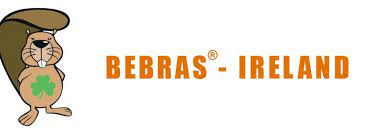 Bebras Computing Challenge Success St Columba S College