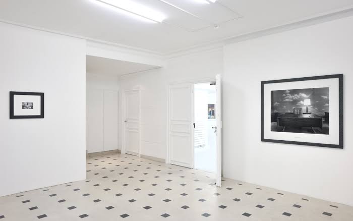 In Situ - fabienne leclerc