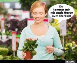 À la maison {verbe} jdn. Du Kommst Mit Mir Nach Hause Zum Sterben Lustige Bilder Spruche Witze Echt Lustig