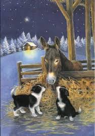 Pin By Snjezana Kuduz On Dog Holiday Ideas Christmas Animals Border Collie Art Christmas Dog
