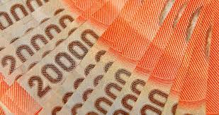 A diferencia de las otras versiones del ingreso familiar de emergencia, el ife universal entrega mayores montos que llegan hasta los $887.000, los cuales dependen de cuántos miembros tiene el hogar. Ife Universal Fechas De Pago Montos Y Retroactivo 2020