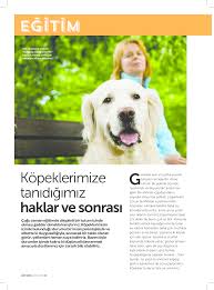 Pozitif Egitim